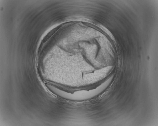 X0000081611144200702121608