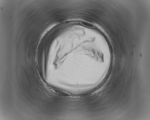 X0000081611145200702121608