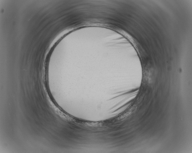 X0000081611147200702121608