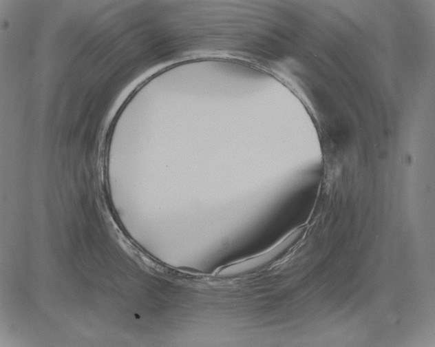 X0000081611148200702121608