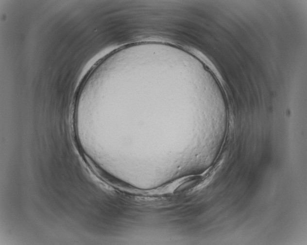 X0000081611149200702121608