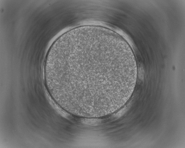 X0000081611150200702121608