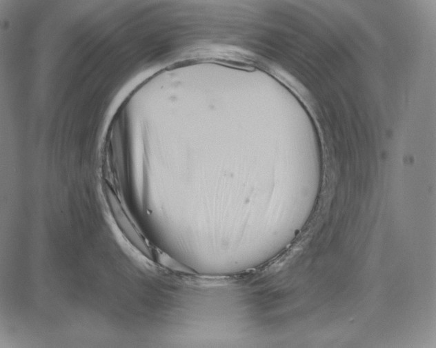 X0000081611152200702121608