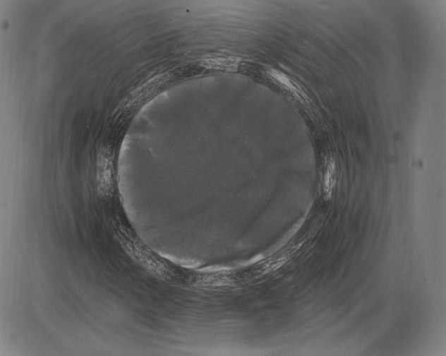 X0000081611154200702121607