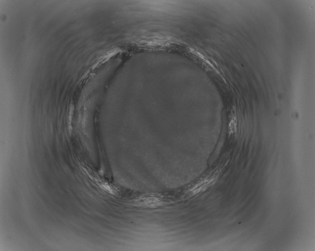 X0000081611156200702121607