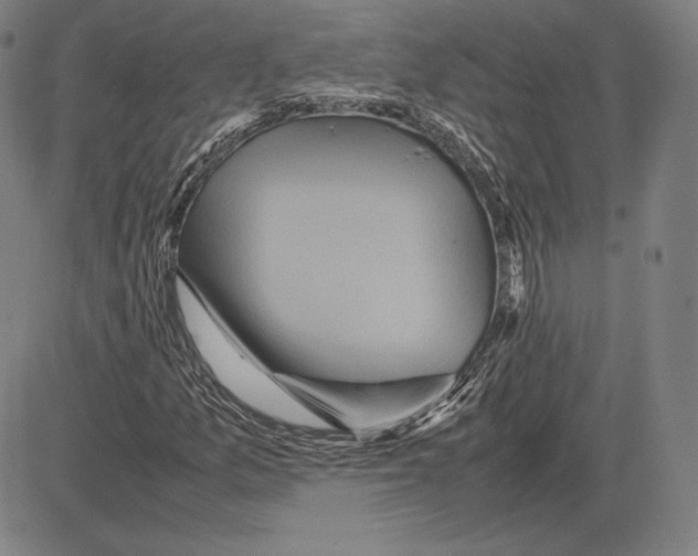 X0000081611157200702121607