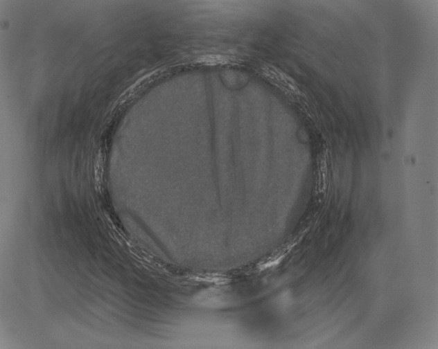 X0000081611158200702121607