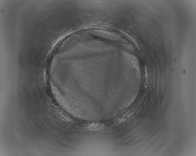 X0000081611160200702121607