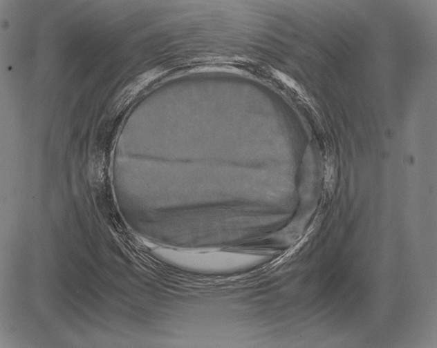 X0000081611161200702121607