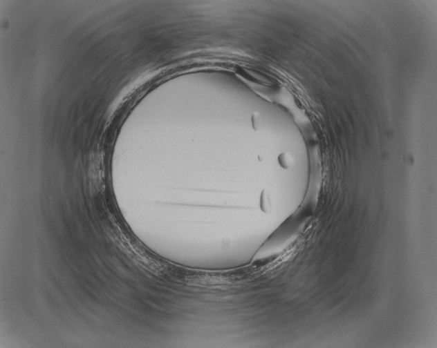 X0000081611164200702121607