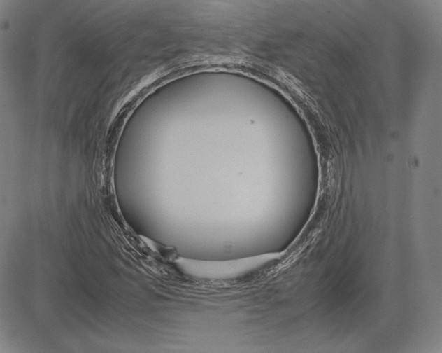 X0000081611165200702121607