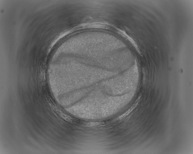 X0000081611166200702121607