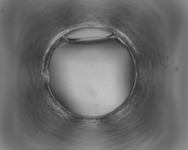 X0000081611168200702121607