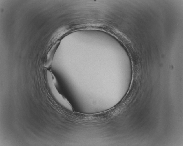 X0000081611169200702121607