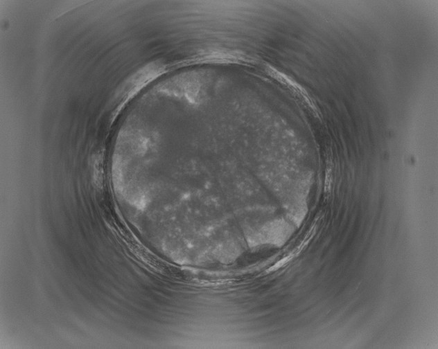 X0000081611170200702121607