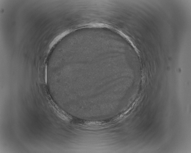 X0000081611171200702121607