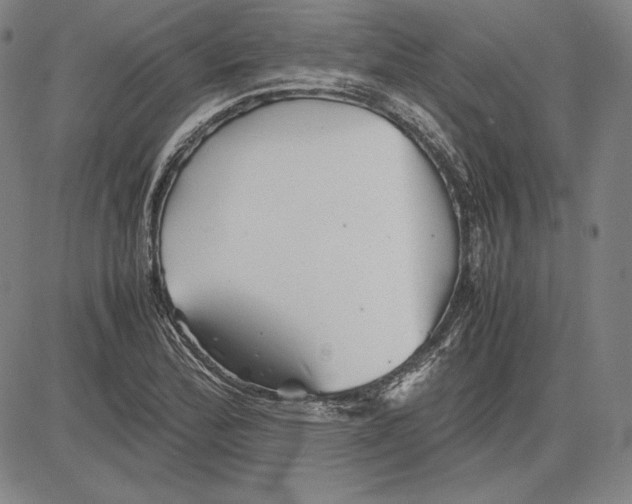 X0000081611172200702121607