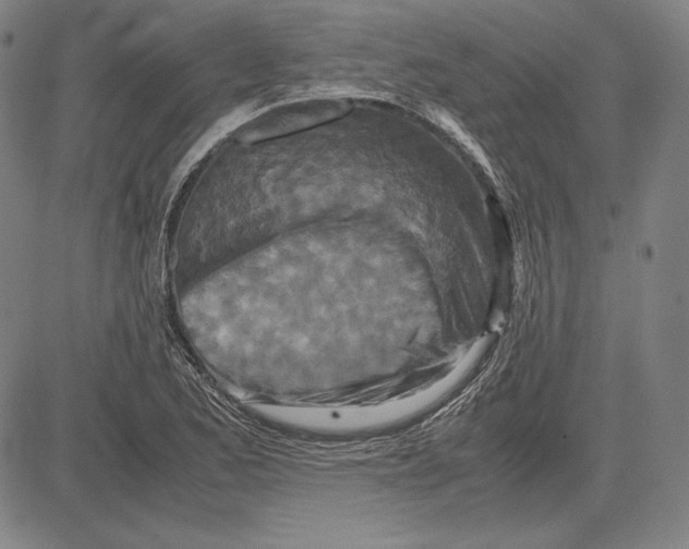 X0000081611173200702121607