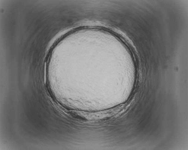 X0000081611175200702121607