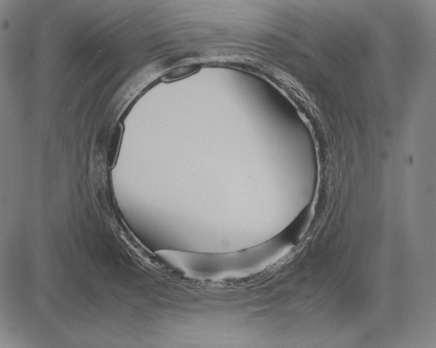 X0000081611177200702121607