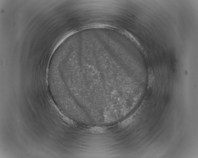 X0000081611178200702121607