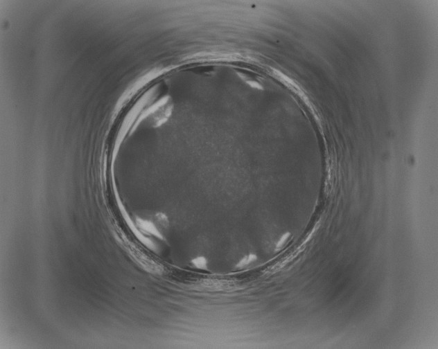 X0000081611179200702121607