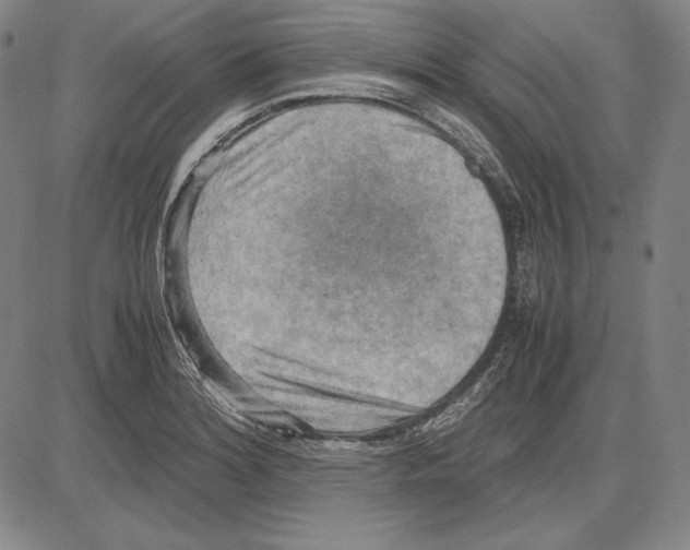 X0000081611180200702121607