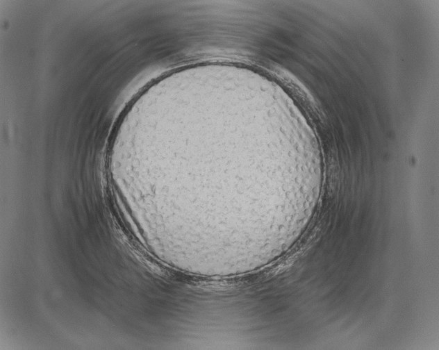 X0000081611182200702121607