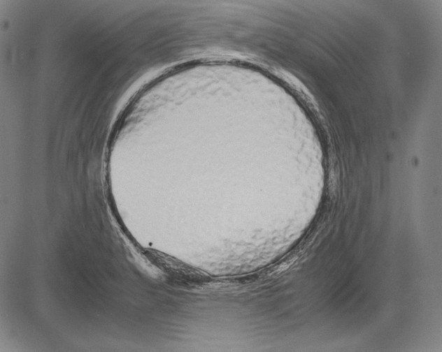 X0000081611183200702121607