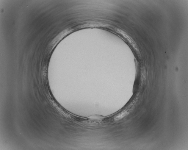 X0000081611185200702121607