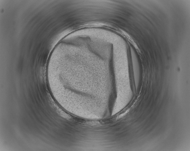 X0000081611186200702121607