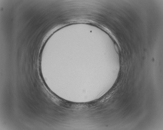 X0000081611187200702121607