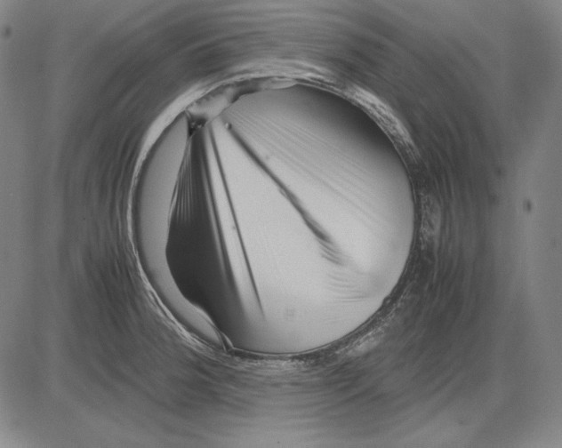 X0000081611188200702121607