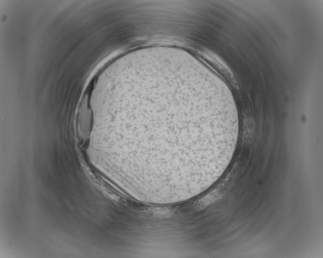 X0000081611190200702121607