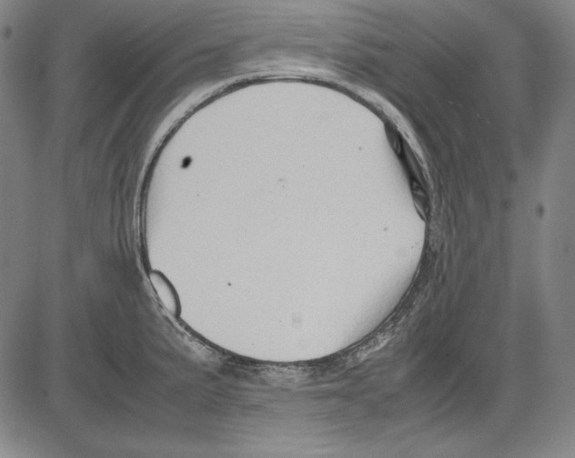 X0000081611191200702121607