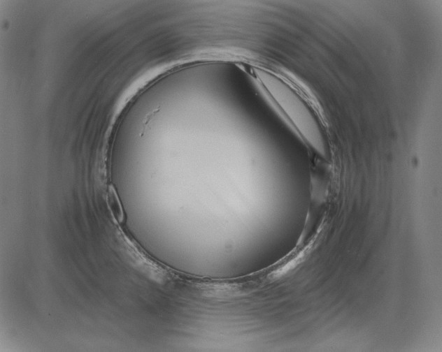 X0000081611192200702121607