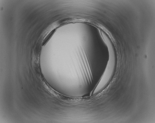 X0000081611193200702121607