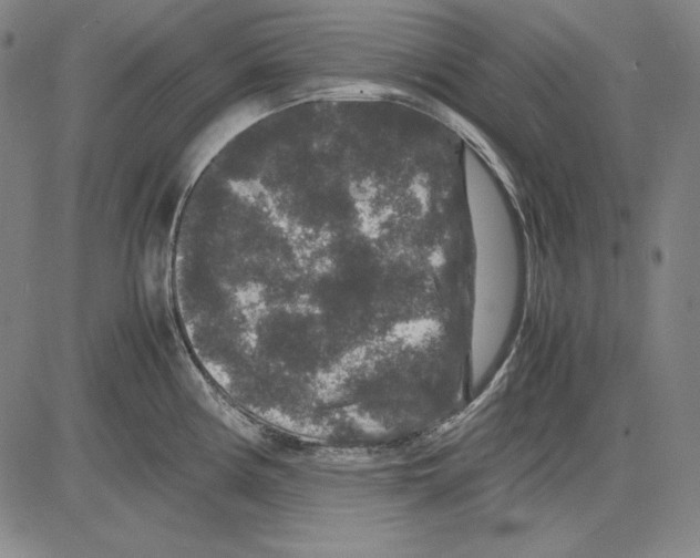 X0000081611194200702121607