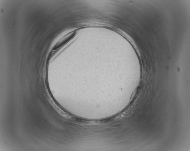 X0000081611195200702121607