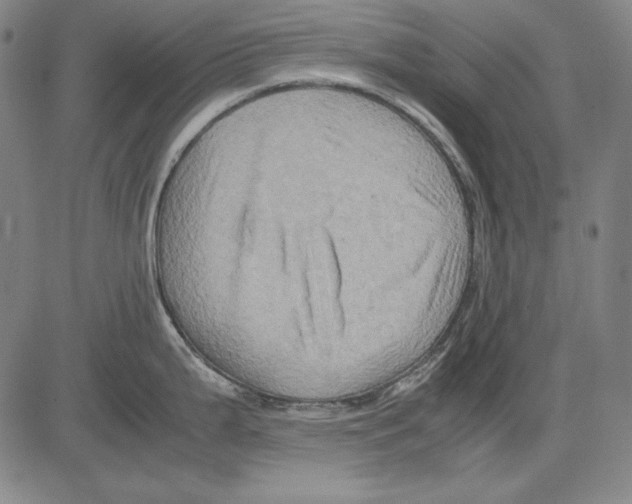 X0000081611199200702121607