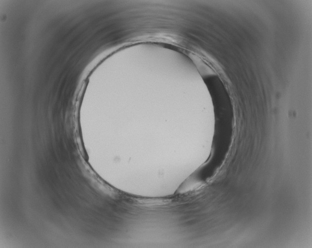 X0000081611200200702121607