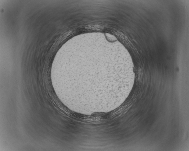 X0000081611201200702121606