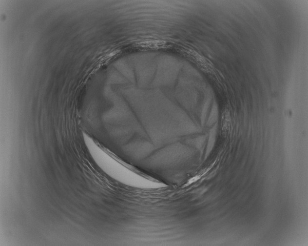 X0000081611202200702121606