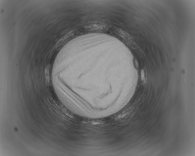 X0000081611203200702121606