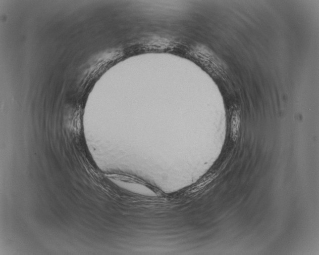 X0000081611204200702121606