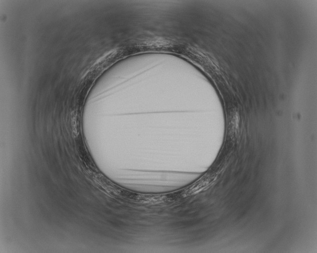 X0000081611205200702121606