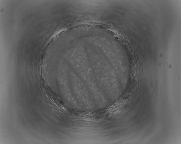 X0000081611206200702121606