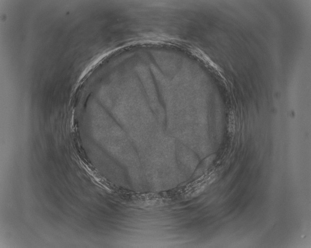 X0000081611208200702121606