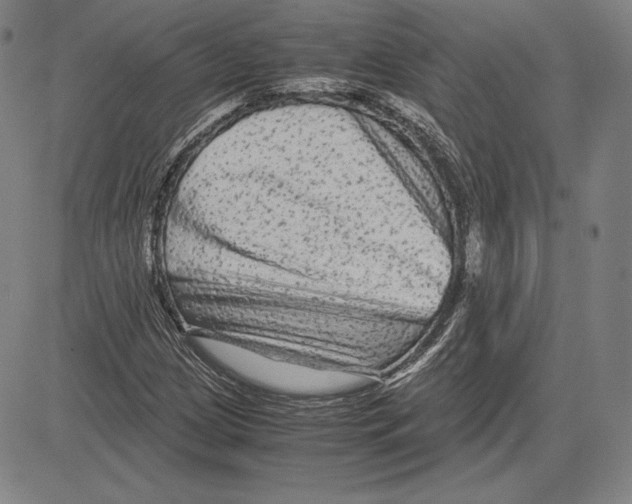 X0000081611209200702121606