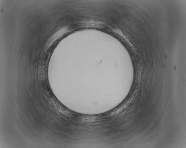 X0000081611211200702121606